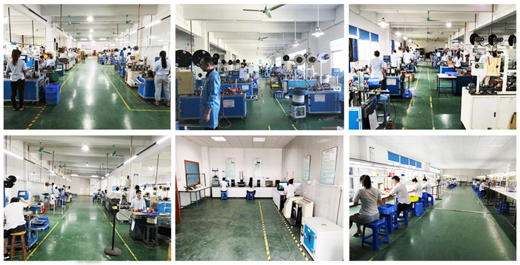 Expert Manufacturer of Connector Medical Home Appliance Industrial Cable Assembly and Automotive Wiring Harness